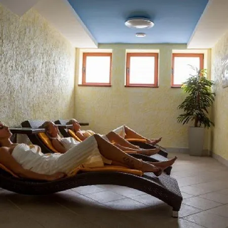 Отель Wellness Alexandra 3*