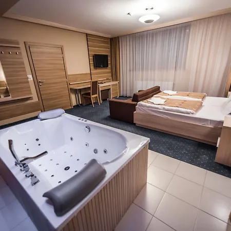 酒店 Wellness Alexandra 3*
