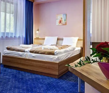 Wellness Alexandra Hotel 3*